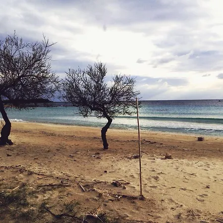 Terre Di Montecoco San Pancrazio Salentino