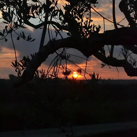 Terre Di Montecoco Bed & Breakfast San Pancrazio Salentino