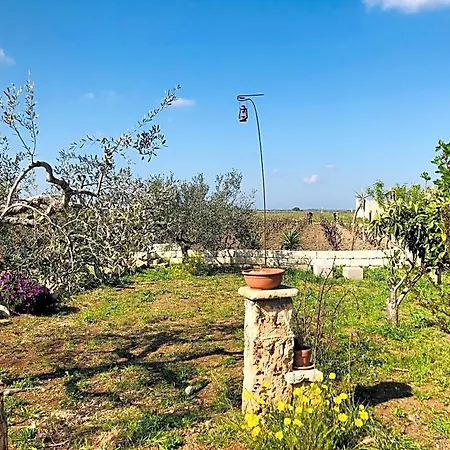 Terre Dì Montecoco San Pancrazio Salentino