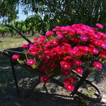 Bed and Breakfast Terre Di Montecoco 3*