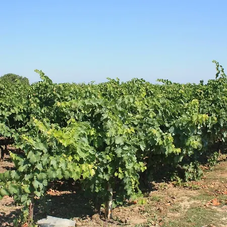 Nocleg ze śniadaniem Terre Di Montecoco San Pancrazio Salentino
