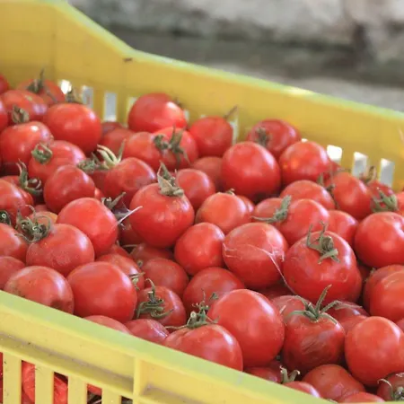 Terre Di Montecoco Nocleg ze śniadaniem San Pancrazio Salentino
