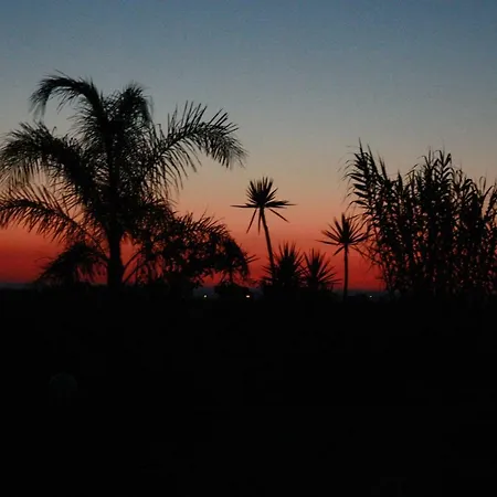 Terre Di Montecoco San Pancrazio Salentino