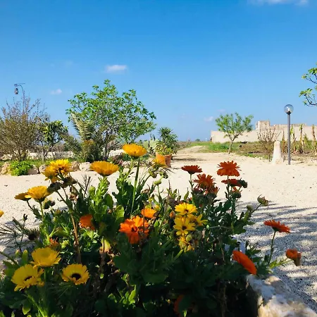 Terre Di Montecoco San Pancrazio Salentino