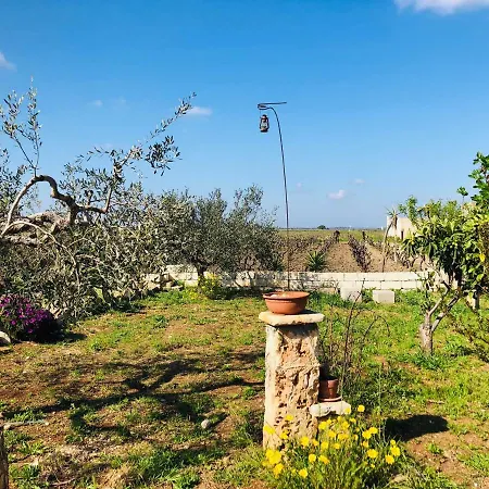 Alojamento de Acomodação e Pequeno-almoço Terre Di Montecoco 3*